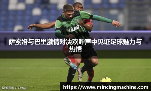 萨索洛与巴里激情对决欢呼声中见证足球魅力与热情
